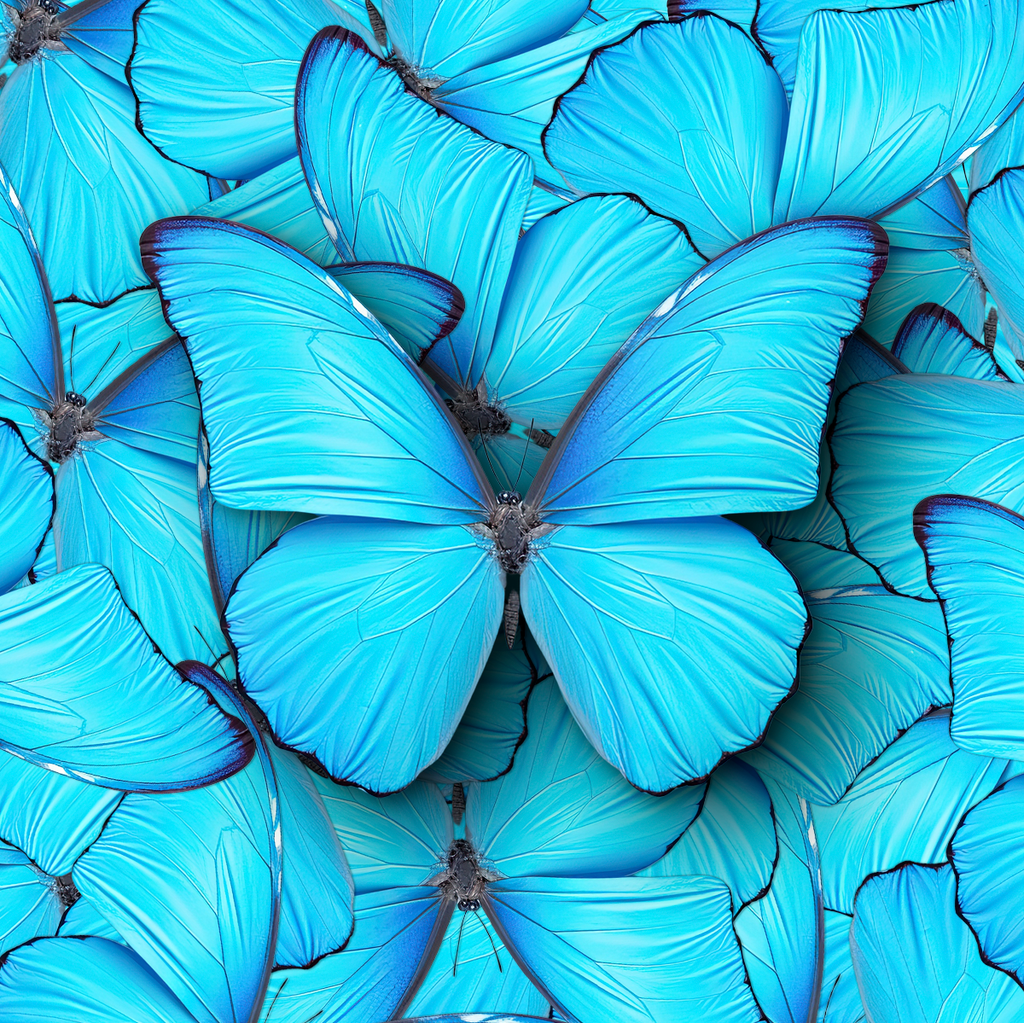 Blue Morpho Butterfly Magnet