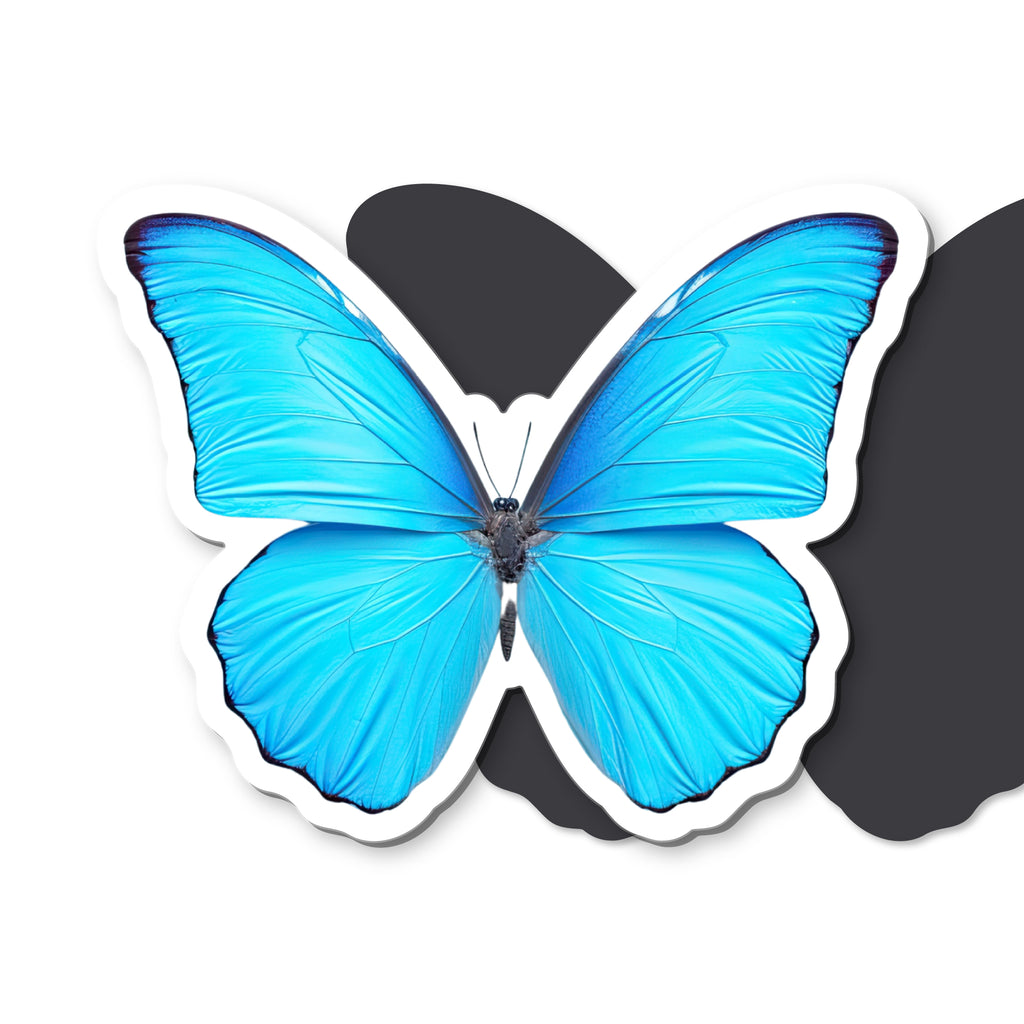 Blue Morpho Butterfly Magnet