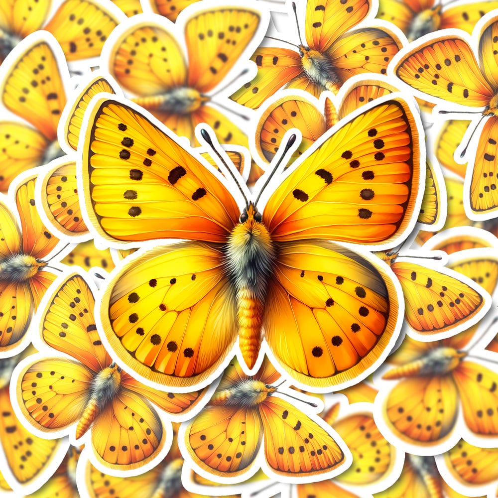 Grass Yellow Butterfly Magnet